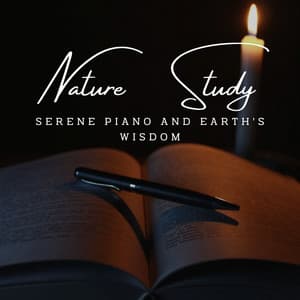 Enlightened Nature Study: Meditative Piano for Deep Learning - Deep Relax Piano