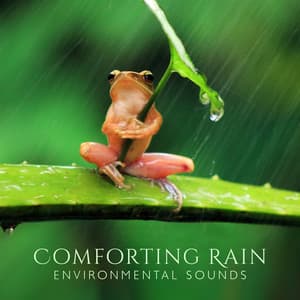 Comforting Rain: Environmental Sounds, Unwind with Nature, Blissful Downpour - Healing Rain Sound Academy