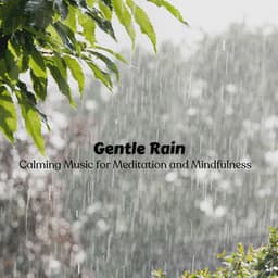 Gentle Rain: Calming Music for Meditation and Mindfulness - Relaxation Rain Meditation