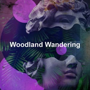 Woodland Wandering - HD Nature Sound Library