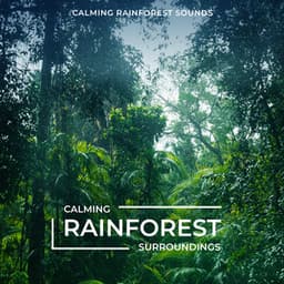 Calming Rainforest Surroundings - Calming Rainforest Sounds