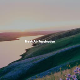 Fresh Air Fascination - Jazz Rilassante Playlist