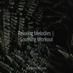 Relaxing Melodies | Soothing Workout - Sonido Del Bosque y Naturaleza