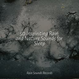 50 Inspiriting Rain and Nature Sounds for Sleep - Rain For Deep Sleep