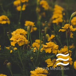 Natural Sounds of Rain for Babies and Home Office - Natural Rain for Baby Sleep