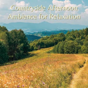 Countryside Afternoon Ambience for Relaxation - Non-stop Nature Channel