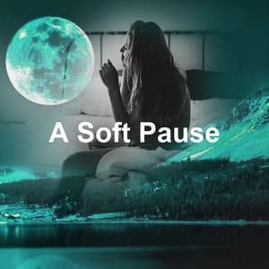 A Soft Pause - Sleep Sounds Ambient Noises
