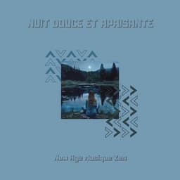 Nuit douce et apaisante - New Age Musique Zen