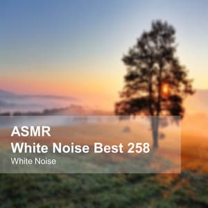 White Noise ASMR Best 258 - White Noise