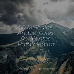 50 Melodías Ambientales Relajantes Para Meditar - Guitarra Clásica Española