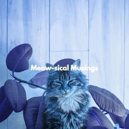 Meow-sical Musings - Cats Music Den