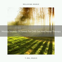 Moody Sounds Of Forest For Chill Out And Noise Therapy - Ambient Nature project