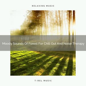 Moody Sounds Of Forest For Chill Out And Noise Therapy - Ambient Nature project