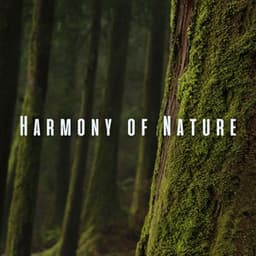 Harmony of Nature: Ambient Sounds for Rebalancing Massages - Gentle Outdoors