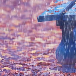 Theta Waves, Rain Spa Harmony - The Premier Deep Sleep Rain Experts