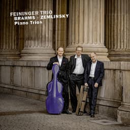 Brahms: Piano Trio No. 3 in C Minor, Op. 101; Zemlinsky: Piano Trio No. 3 in D Minor, Op. 3 - Feininger Trio