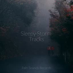 Sleepy Storm Tracks - Relaxing Music