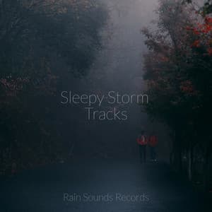 Sleepy Storm Tracks - Relaxing Music
