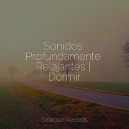 Sonidos Profundamente Relajantes | Dormir - Canciones de Cuna para Bebés Acadèmico