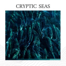 Cryptic Seas - Calm Ocean Sounds