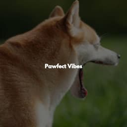 Pawfect Vibes - Easy Jazz Listening
