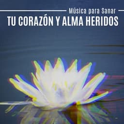 Música para Sanar Tu Corazón y Alma Heridos: Meditación de Tranquilidad y Yoga, Libera Tu Alma, Pensamientos Gozosos - La Academia de Música para la Meditación de Sanación