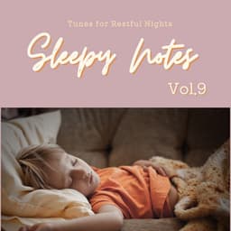 Sleepy Notes: Tunes for Restful Nights Vol.9 - Hugo Focus