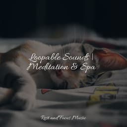 Loopable Sounds | Meditation & Spa - Meditation Relaxation Club