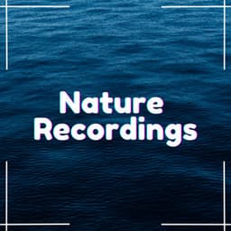 Soothing Natural Sounds - Natural Sample Makers