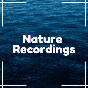 Soothing Natural Sounds - Natural Sample Makers