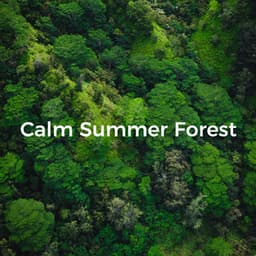 Calm Summer Forest - Sounds of the Jungle