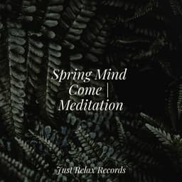 Spring Mind Come | Meditation - Deep Sleep Meditation