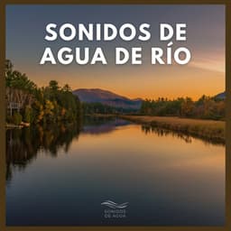 Sonidos de Agua de Río - Sonidos De Agua