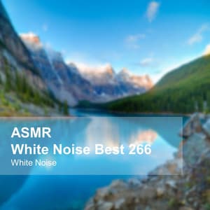 White Noise ASMR Best 266 - White Noise