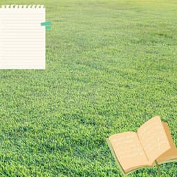 Feelings for Entertaining Classics - Work at Home Music