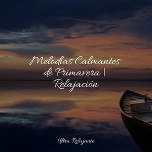 Melodías Calmantes de Primavera | Relajación - Meditação Zen