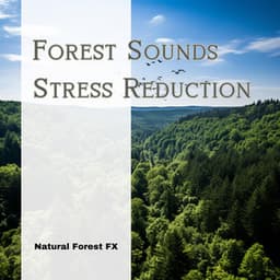 Forest Sounds: Stress Reduction - Natural Forest FX
