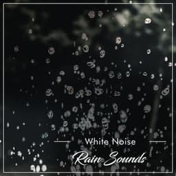 27 White Noise Rain Sounds for Ultimate Relaxation - Deep Rain Sampling