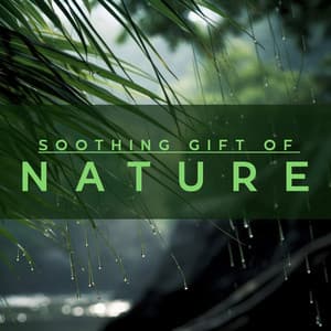 Soothing Gift of Nature: A Rainy Atmosphere for Purification, Renewal and Spiritual Rebirth - Soundscapes!
