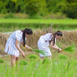 Rainy Chill: Relax at Work with a Binaural Soundscape - The Binaural Beats Factory