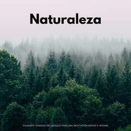 Naturaleza: Calmante Sonidos Del Bosque Para Una Meditación Rápida E Intensa - Sonido Del Bosque y Naturaleza