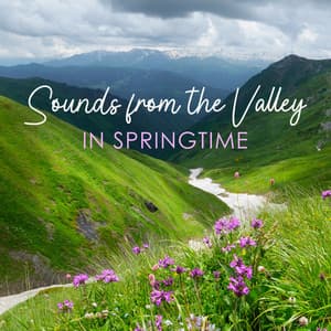 Sounds from the Valley in Springtime - Mothers Nature Music Academy