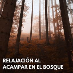 Relajación Al Acampar En El Bosque - Tesoros del bosque