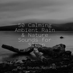 50 Calming Ambient Rain & Nature Sounds for Sleep - Musica Relajante Specialistas & Musica Relajante