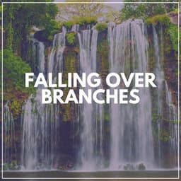 Falling over Branches - Soothing Waterfalls