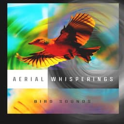 Aerial Whisperings - Bird Sounds