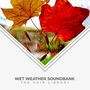 Wet Weather Soundbank - The Rain Library