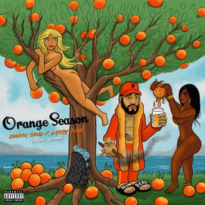 Orange Season - Cookin Soul