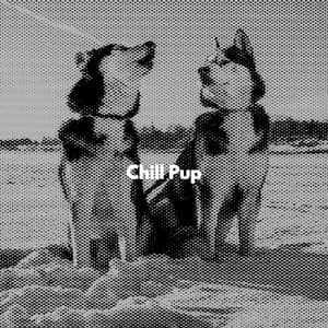 Chill Pup - Jazz Vibe Duo
