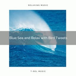 2020 Best: Blue Sea and Relax with Bird Tweets - Calm Sea Sounds